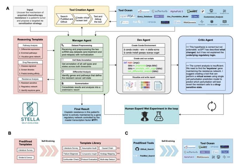 STELLA: Unleashing the Future of Biomedical Research with Self-Evolving AI